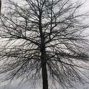 Meet your Posher, Ju